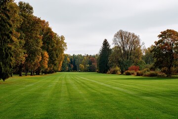 Fototapeta premium Expansive Mowed Yard Surrounded by Trees in a Picturesque Autumn Park Landscape