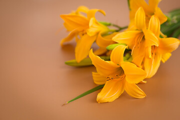 Yellow lilies styled with mocha mousse background