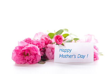 Thank you card among pink flowers on white background