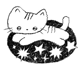 space cat 