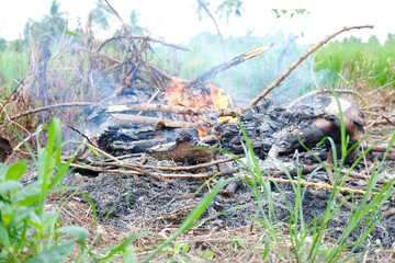 Flames are burning a pile of garbage or branches.