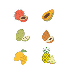 set of fruits. Tropical Essence Fruit Collection. Elegant Exotic Fruits Illustration. Pineapple Series Continuation Vector. Summer Freshness in Tropical Colors. Artistic Fruit Mix Flat Design. 