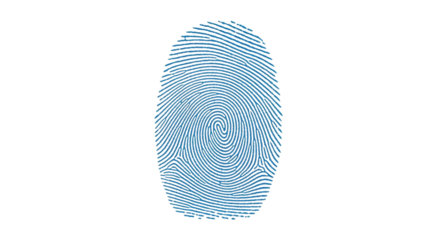 Isolated fingerprint image for personal identity document verification, pattern lines