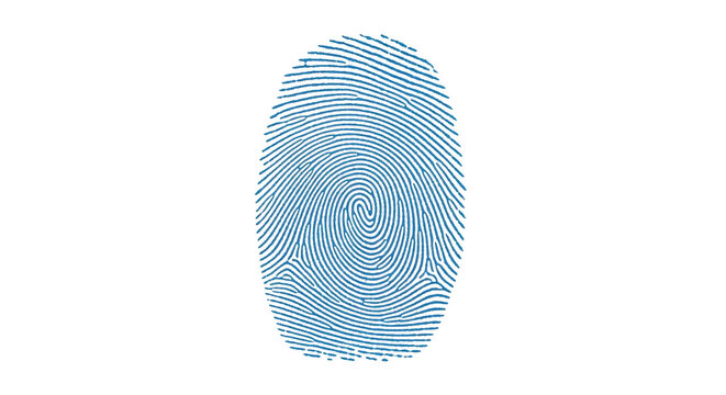 Isolated fingerprint image for personal identity document verification, pattern lines