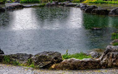 Pond in the park in the rain on a summer day.