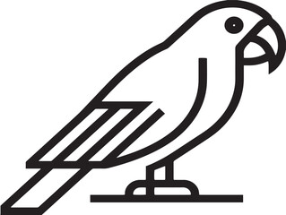 Exotic bird parrot drawing in modern clean vector