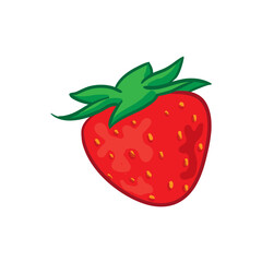 Strawberry Hand Drawn Vector Illustration