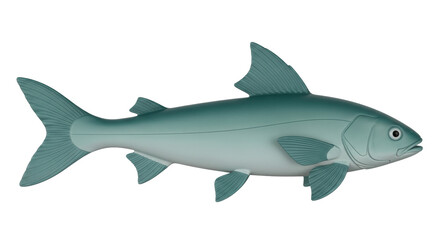 Isolated fish animal with fins a tail aquatic wildlife predator underwater in the sea ocean
