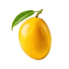 Fresh Single Ripe Yellow Mango Fruit Isolated on White Background for Food Photography and Healthy Eating Concepts