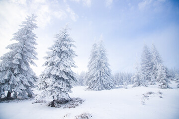 beautiful snow covered mountain landscape in winter