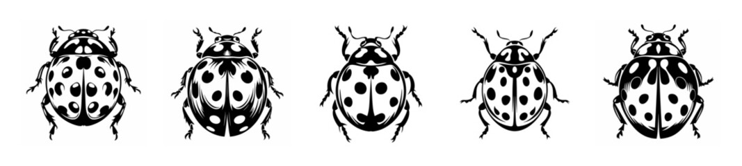 Five detailed black and white ladybug patterns arranged in a row for artistic design