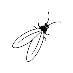 Firefly With Glowing Tail Insect Illustration