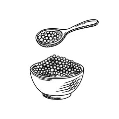 Drawn plate with black pepper. Ground pepper, pepper, mortar, mill, dried seeds, plant. Sketch of seasoning.