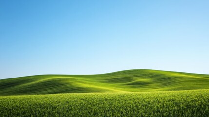 Obraz premium Lush green hills stretch under a clear blue sky during a sunny day, inviting tranquility and relaxation in nature's embrace