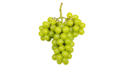 Isolated green grapes bunch, fruit, sweet, table grape, close-up, fresh, healthy food
