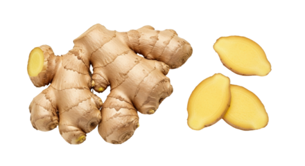 Isolated ginger root and slices, a healthy culinary ingredient for fresh food preparation