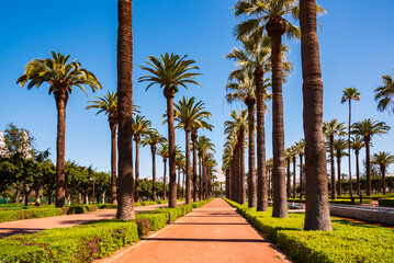 Beautiful park with palm trees in Casablanca city, Morocco