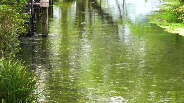 長野県安曇野市　万水川・蓼川合流地点　スローモーション
