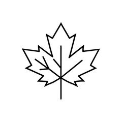 Fototapeta premium Outline of a maple leaf illustration on transparent background silhouette