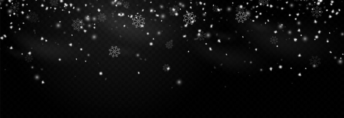 Snowfall PNG. Heavy snowfall or snowstorm with snowflakes of various shapes. Winter snowy background.