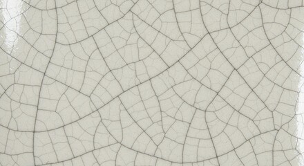 Abstract pattern of fine cracks elegant texture for backgrounds and designs
