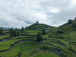 Terraced tea fields ascend Xuan'en County hills under a cloudy sky, a pagoda crowns the highest peak.