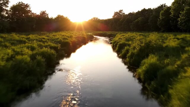 Golden hour sunbeams dance on the surface of a winding creek as a drone glides smoothly over its banks, capturing the warm glow winding creek, wilderness, beautiful