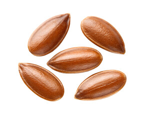 Obraz premium flax-seeds isolated on transparent cutout background