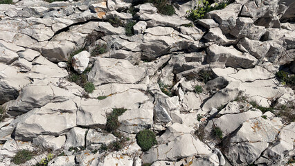 Natural stone surface with cracked white rocks and sparse vegetation, perfect as background texture for design, nature, or geological projects