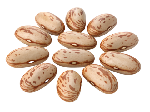 pinto beans isolated on transparent cutout background
