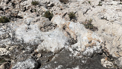 Close-up texture of rugged coastal rock surface with mineral layers and natural cracks, ideal as background for nature, geology or design use