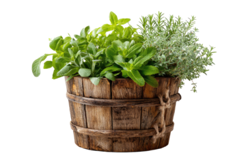 Wooden planter filled with assorted fresh herbs