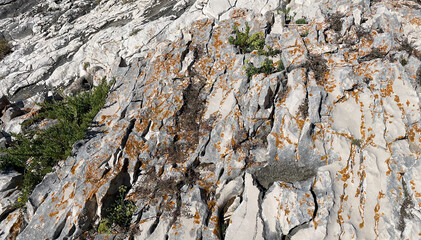 Cracked rocky surface with natural patterns and dry vegetation on coastal terrain, ideal for use as background texture or geological nature reference