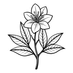 vector illustration of a flower