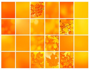 Grid display of various orange and yellow gradient backgrounds and leaves