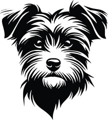 Norfolk Terrier head silhouette with shaggy coat, pointed ears, and bright eyes in black vector