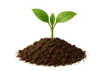 Fresh green plant sprout growing from soil isolated on clear background, eco growth and sustainability concept, new life and nature symbol