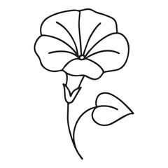 Morning Glory Flower Outline Vector in Minimal Line Art Style for Nature, Botanical, and Seasonal Design