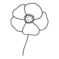 Poppy Flower Outline Vector in Botanical Line Art Style for Nature, Remembrance, and Decorative Design