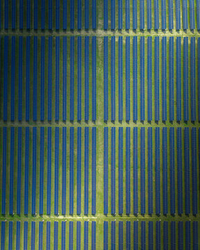 Aerial view of geometric precision as rows of parallel blue lines create a striking pattern, contrasting the pale background, Oxford, North Carolina, United States.