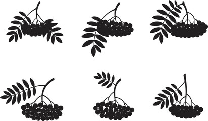 Silhouette rowan berry branch collection, black forest fruit design, natural leaf and berry illustration, autumn botanical vector set, isolated nature elements on white