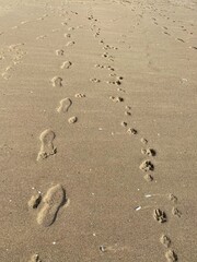 Footsteps in the sand.