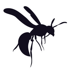 wasp, insect, silhouette, flying, wings, antennae, sting, insecta, arthropod, bug, pest, nature, wildlife, black and white, isolated, graphic, design element, entomology, creature, macro, detail, dang
