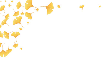 Autumn Leaves Ginkgo Autumn Background