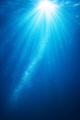 海の中のイメージ