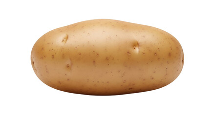 Isolated russet potato on a bright surface for food, cooking, and nutrition projects