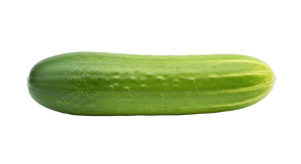 Isolated Green Cucumber on Display in Studio Ready for Recipe Preparation and Consumption