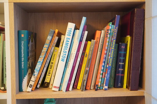 Collection of assorted books on a bookshelf, showcasing a variety of colors and sizes, perfect for avid readers and book lovers