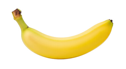 Isolated Cavendish banana showing the green end of the peel, whole fruit, healthy food