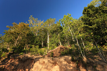 The perfection of nature and forests on the top of Koh Tao, a famous tourist attraction in Surat Thani Province, Thailand